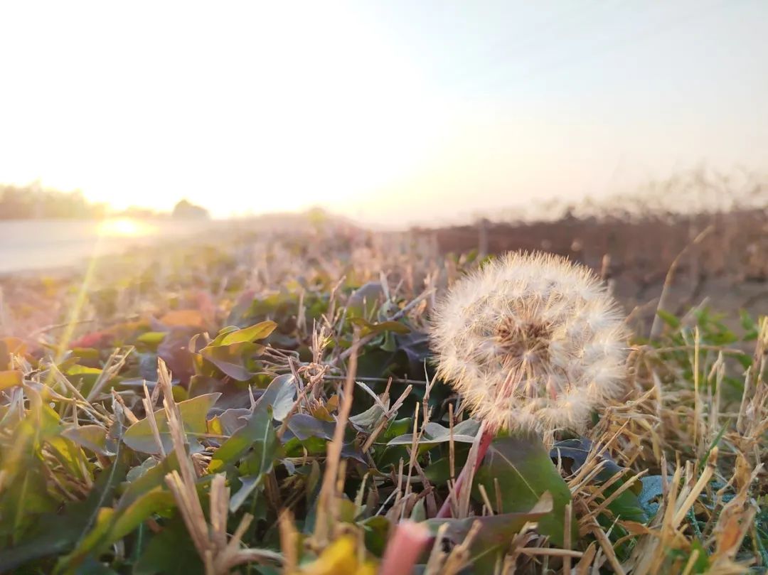 17114164673729.jpg a232a825997a673db579fb72dd4b1329.jpg